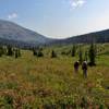 Hiking up through lush meadows toward Bighorn Peak.