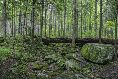 Along the way. with permission from Ed Ogle