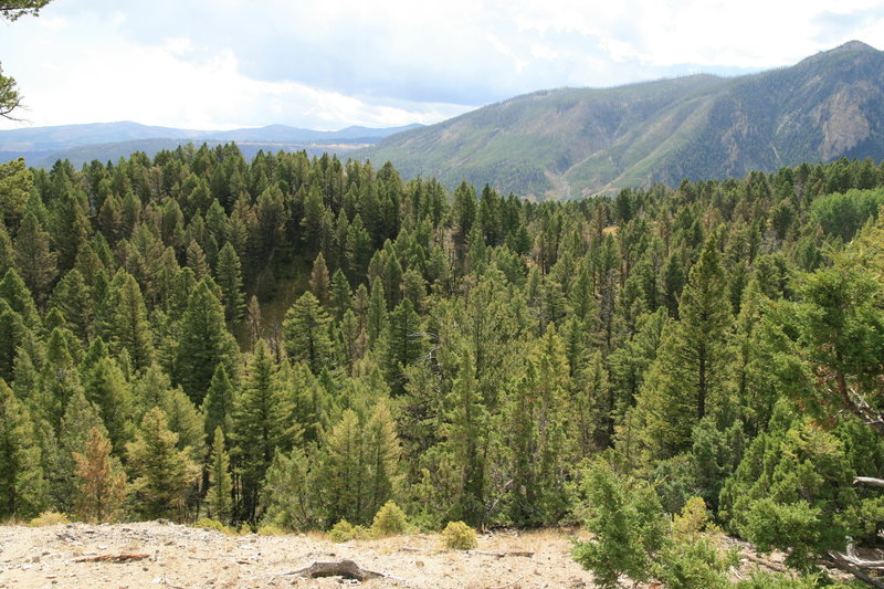 Snow Pass Trail.