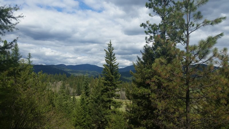 Mt. Spokane in the distance.