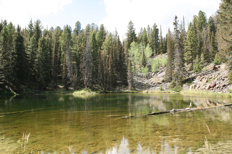 Scenic pond.