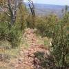 This is the "good" part of the Y Bar Basin Trail with the small, not the large rocks.