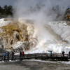 Mammoth Hot Springs.