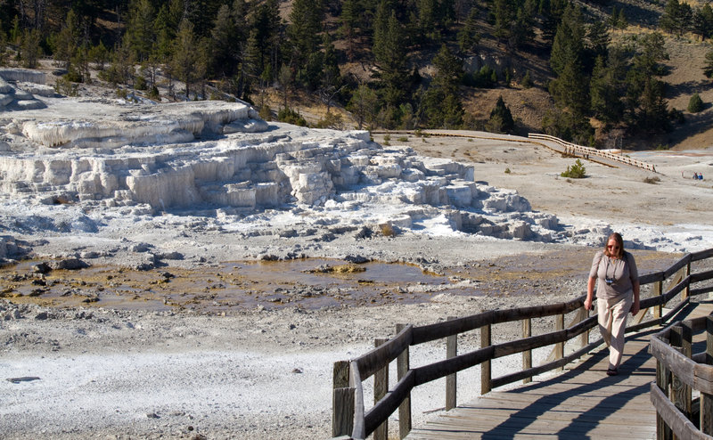 Hiking in Mammoth Springs.