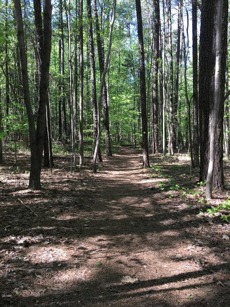 Oak Rock Trail starting point.