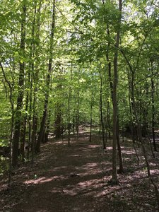 Flat, even terrain, epic! Time to hit the gas! After this you'll find a turn and up the "hill" - you've got to finish strong!