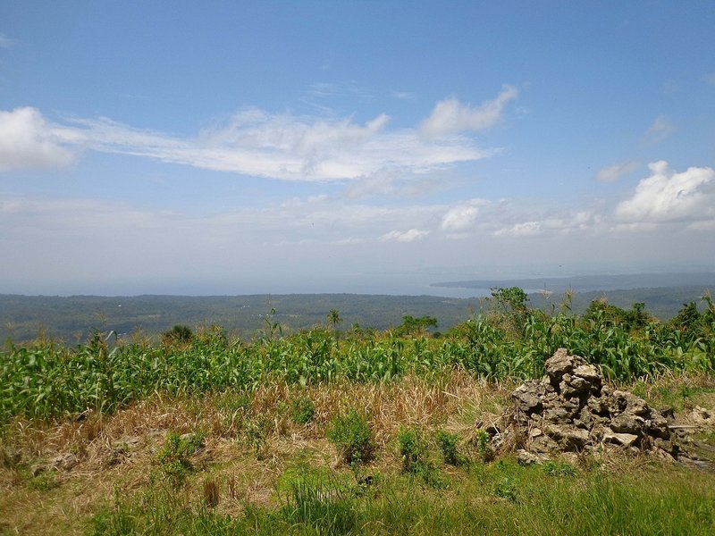 At the summit of Mt. Puting Bato peak of Samal Island, TP50 race!