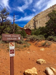 At the trailhead/parking area for Strike Valley Overlook.