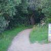 The trail as it emerges from the woods and it meets the Franciscan Trail.