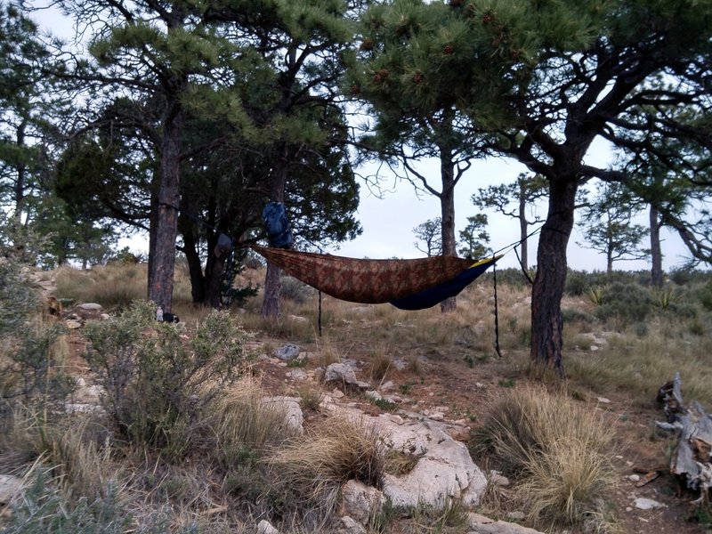 Taken from one of the 5 campsite pads on Guadalupe Peak showing how sparse the trees are at the campground. For those with hammocks, it is possible, but your selections are limited. Note: the people who slept in the 2 hammocks fared better than I did in the high winds at the campground.