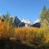 Norman Clyde Peak over autumn woods