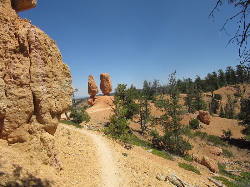 Beautiful trail at Thunder Mountain!