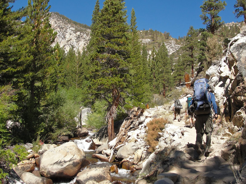 Hiking up North Fork Big Pine Creek