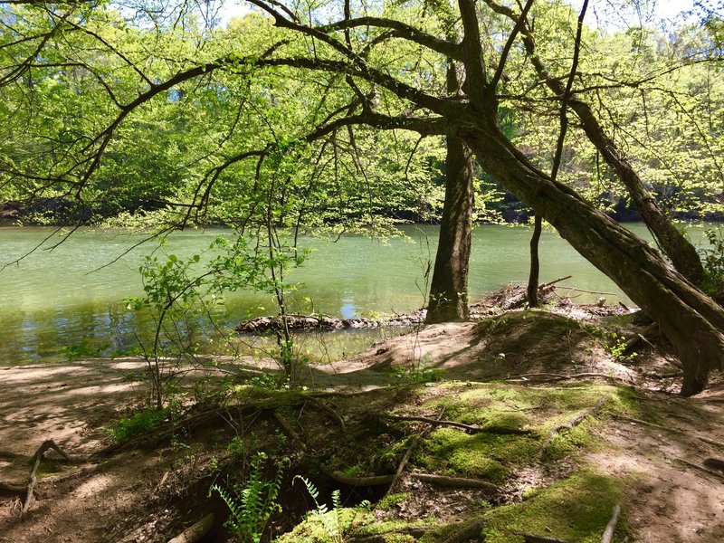Spring green everywhere in this enchanted little spot: great for a peaceful pause along the way...