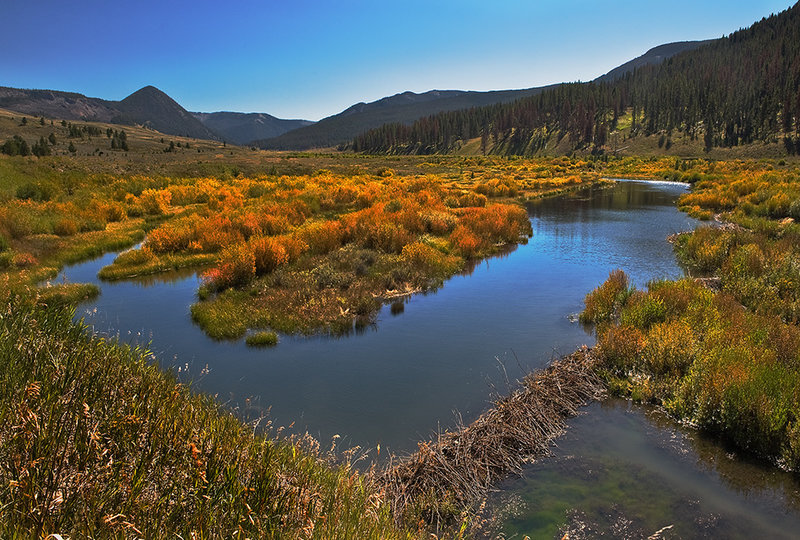 Beaver Dam on the Gallatin with permission from John Christopher Copyright JChristopherGalleries.com