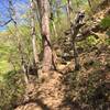 These cliffs (upstream of the dam spill) provide great "natural seating" for a nice lookout.