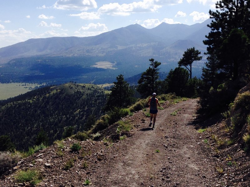 San Francisco Peak in the background as you descend O'Leary Peak