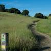 The Ridgeview Trail as it leaves the Edgewood Trail.  It is a single dirt track as it begins to climb to the hilltop.