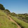 The trail continues to climb the hillside.