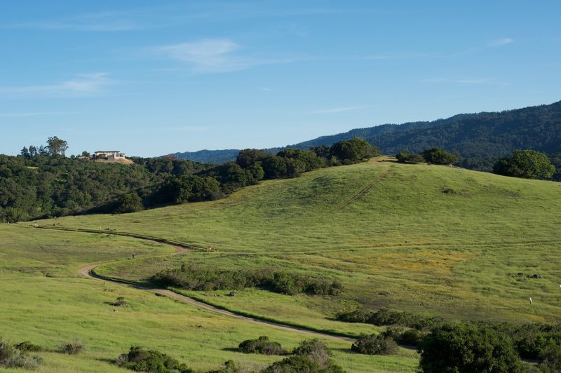 The Sunset Trail winds through the preserve as fields of wildflowers can be seen on either side.  The gentle climb on the Ridgeview Trail offers great views.