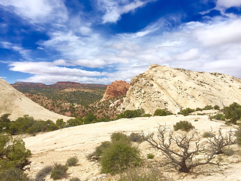 The view that's behind you when you reach the top of Strike Valley viewpoint.