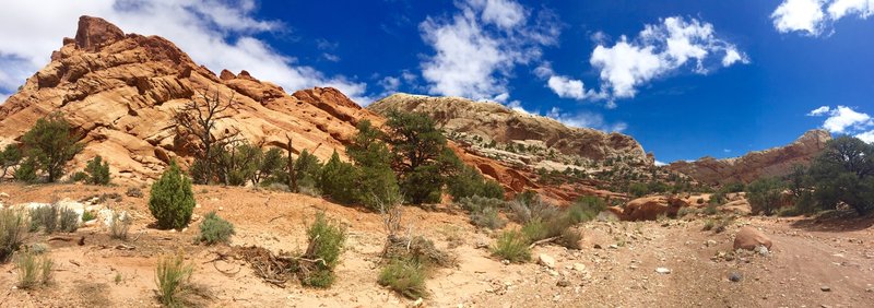 Views in the canyon wash of upper muley twist access road. 4WD/AWD higher clearance vehicles only.