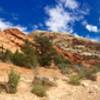 Views in the canyon wash of upper muley twist access road. 4WD/AWD higher clearance vehicles only.