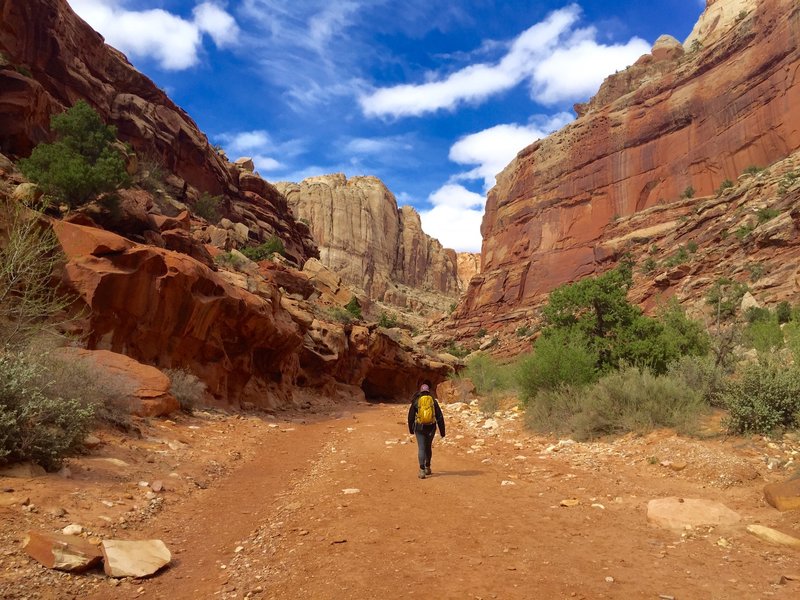 Post hike to Strike Valley Overlook. Hiking back through the canyon wash access road to the vehicle.