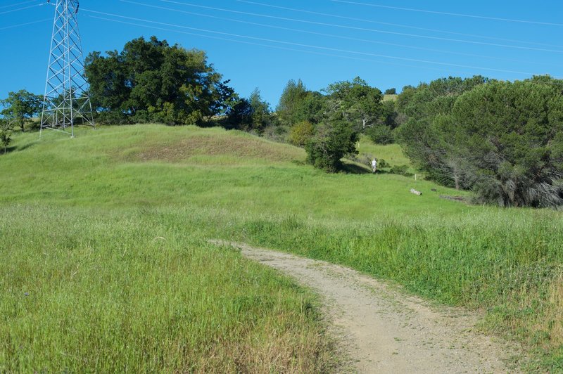 The trail as it winds up into the preserve.  In the spring, the grasslands are at the bottom of the trail.