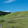 A small connector goes off to the left while views of the surrounding hills come into view.  The views are great, and fields full of wildflowers in the spring.