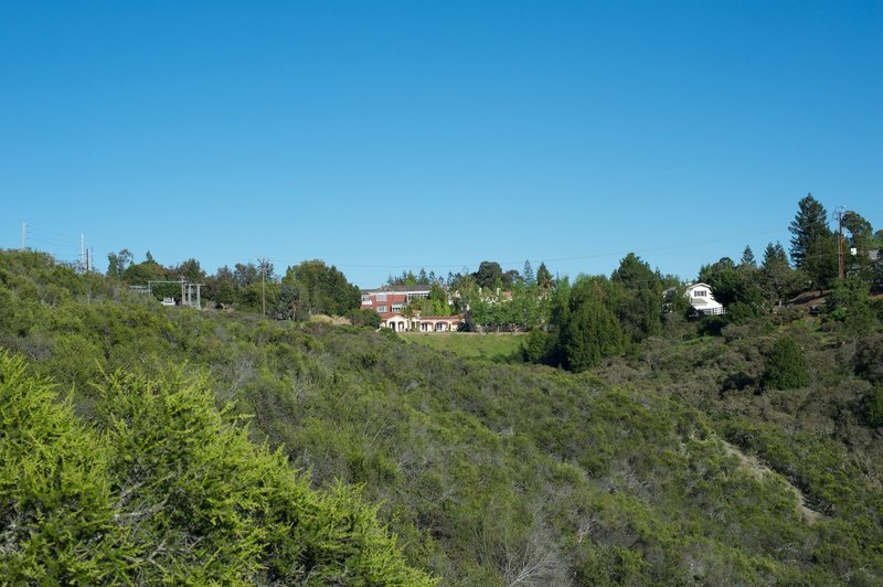 Homes at the end of the Clarkia Trail.