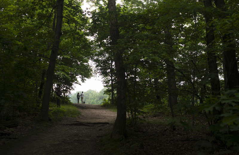 Follow this trail to get to the stunning overlook! Photo by Melanie Nesteruk.