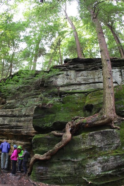 Enjoying the sandstone formations visible from the Ledges Trail