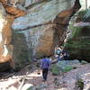 Cuyahoga Ledges: Rocky Cliff