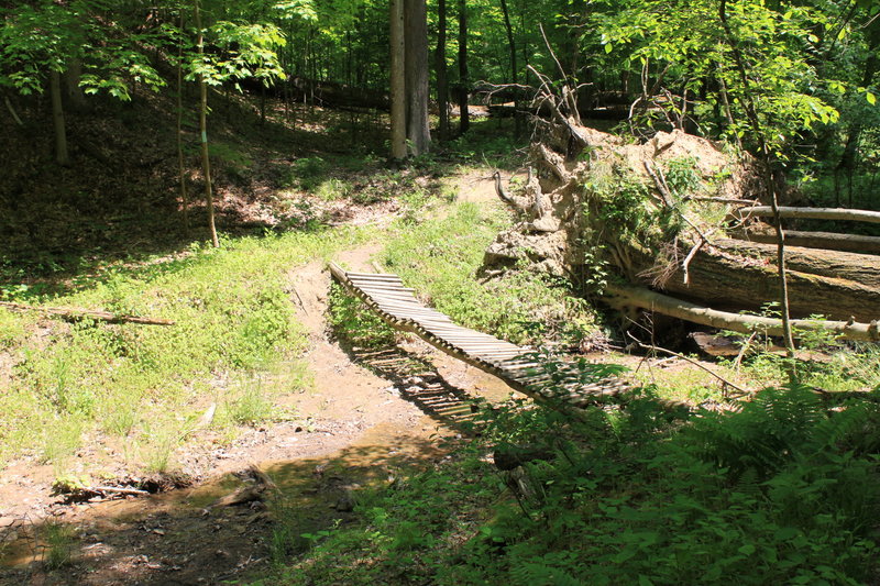 An exciting bridge crossing on the Buckeye Trail.