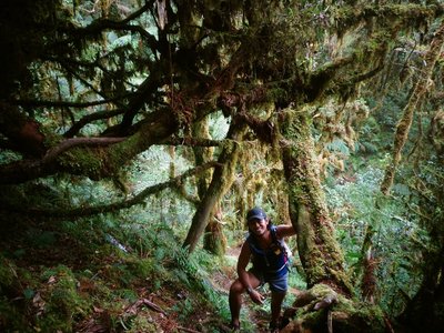 The mossy forest of KRUR! ;)