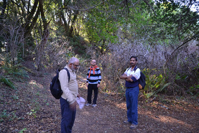 Stopping along the Redwood Trail.