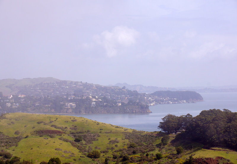 Looking out over the coast.