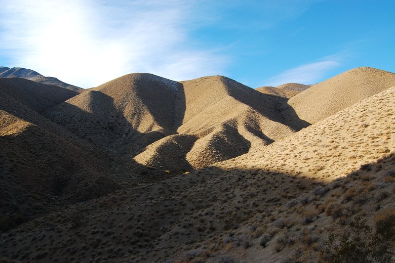 The hills rolling into Dead Horse Canyon.