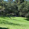 The picnic area in Edgewood Park.