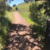 The trail emerges from the woods and into fields that offer great views of the San Francisco Bay area.