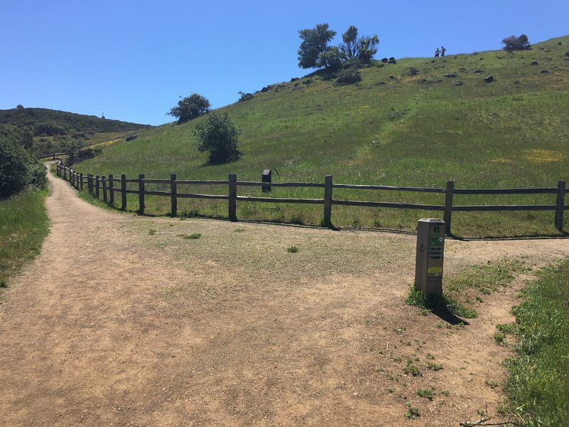 The trail intersects with the Serpentine Trail at a large open area.