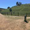 The trail intersects with the Serpentine Trail at a large open area.