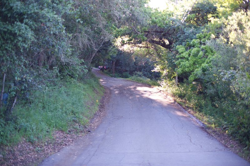 The trail climbs along the road before it enters the woods and becomes a gravel road.