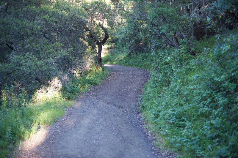 The trail turns to gravel as it continues its ascent from the parking area.