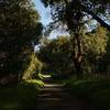 The trail is shaded as it makes its way through woods.