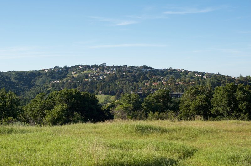 The trail emerges from the woods and enters the grasslands. Views of the surrounding hills spread out before you.