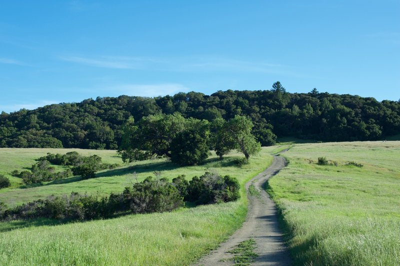 The trail meanders through the grasslands toward the Serpentine Trail.