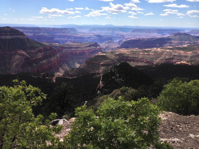 An overlook that peers into the Grand Canyon