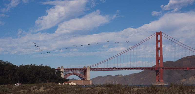 Pelican V over the Golden Gate Bridge